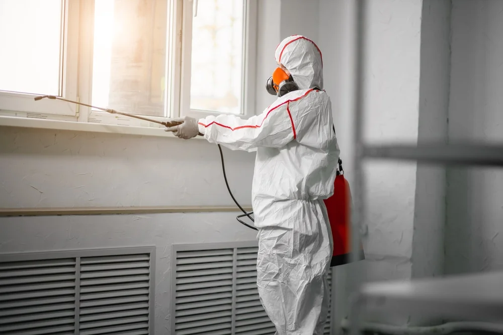 Professional mold remediation services in Dickson, TN